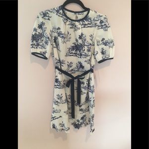 Navy and white Scenic Dress